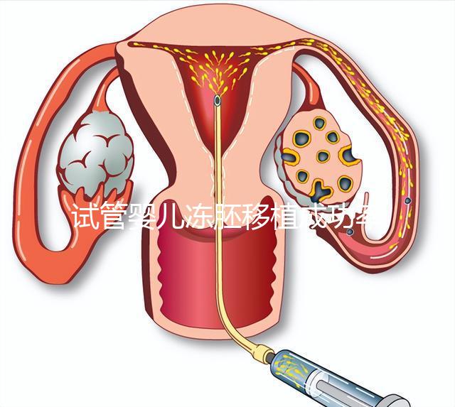 試管嬰兒凍胚移植成功率更高？凍胚和鮮胚有何不同？