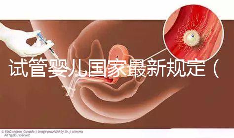 試管嬰兒國家最新規(guī)定(試管嬰兒國家最新規(guī)定能放幾個)