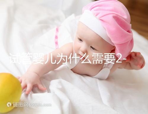 試管嬰兒為什么需要2-3個月？揭秘時間背后的科學奧秘