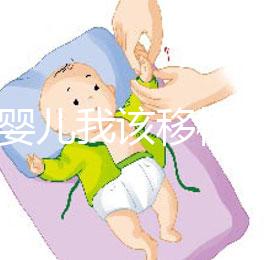 試管嬰兒我該移植鮮胚，囊胚還是凍胚呢？