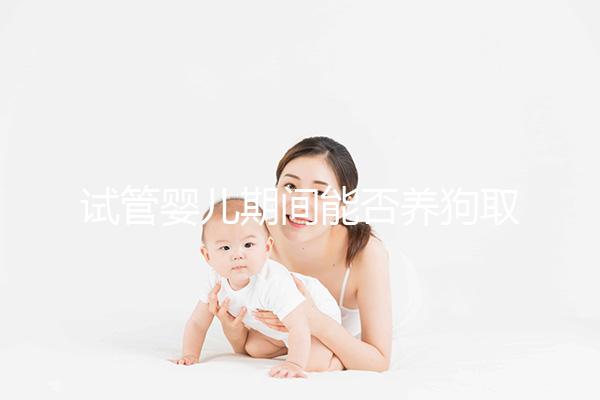 試管嬰兒期間能否養狗取決于情況，醫生：確保安全是前提