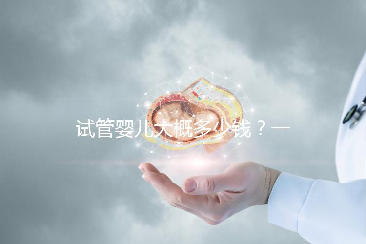試管嬰兒大概多少錢(qián)？一位助孕顧問(wèn)的真心話