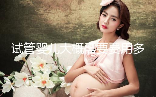 試管嬰兒大概需要費(fèi)用多少？怎么確定花多少錢？