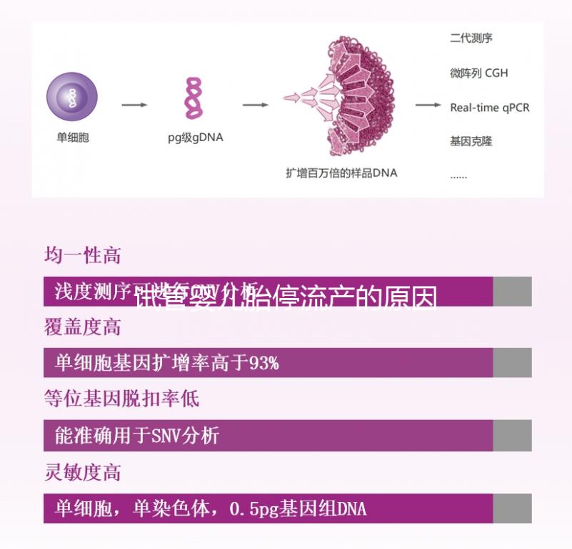 試管嬰兒胎停流產的原因剖析，胎停育與胎停孕大不同