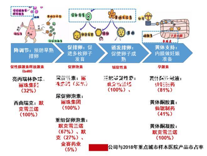 試管嬰兒花費(fèi)多少(試管嬰兒花費(fèi)多少錢(qián)?)