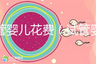 試管嬰兒花費(fèi)(試管嬰兒花費(fèi)多少錢(qián)?)