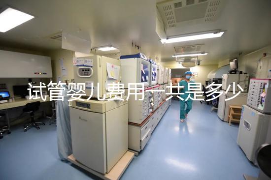 試管嬰兒費用一共是多少(試管嬰兒費用一共是多少錢)