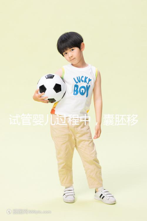 試管嬰兒過(guò)程中，囊胚移植和鮮胚移植哪個(gè)成功率更高？