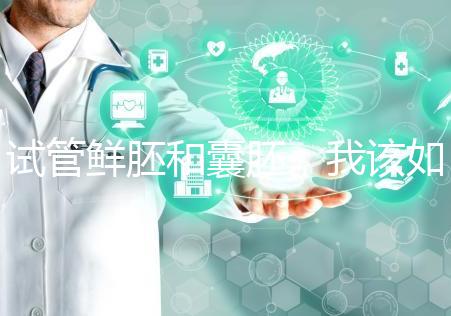 試管鮮胚和囊胚，我該如何選？