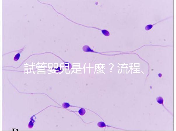 試管嬰兒是什麼？流程、費用、補助及人工受孕差異全解析！