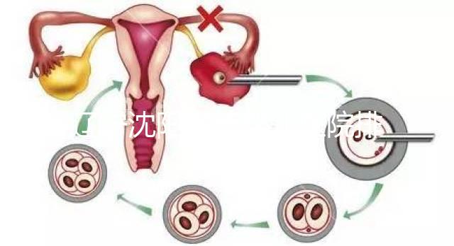 遼寧沈陽(yáng)試管嬰兒醫(yī)院排名匯總新鮮出爐：這14家值得一看！