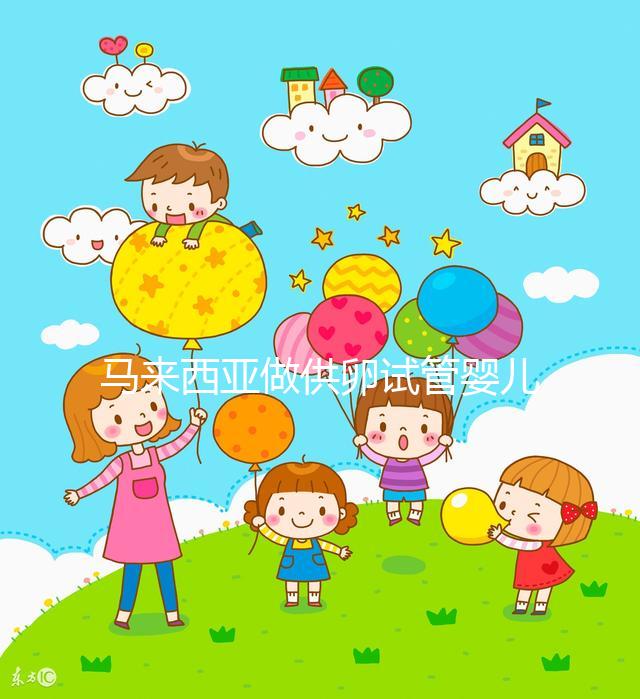 馬來西亞做供卵試管嬰兒，當地政府法律支持它的合法性么？