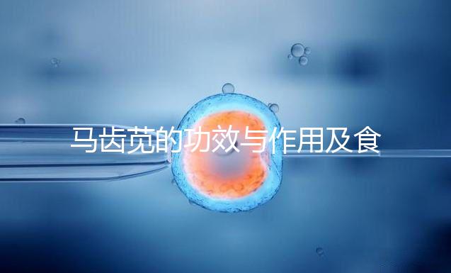 馬齒莧的功效與作用及食用方法（馬齒莧怎樣用祛斑效果好）