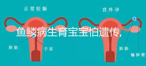 魚(yú)鱗病生育寶寶怕遺傳,第三代試管嬰兒基因篩查技術(shù)助好孕