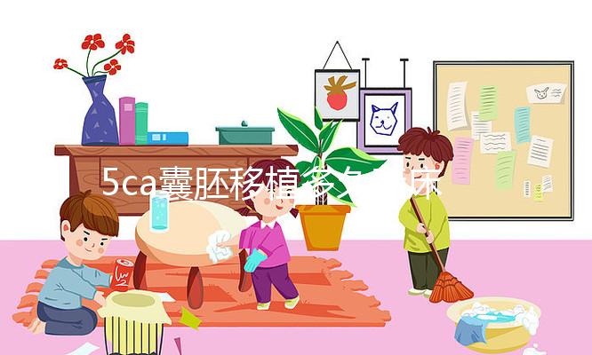 5ca囊胚移植多久著床、有何反應答案來了，第8天白板要警惕