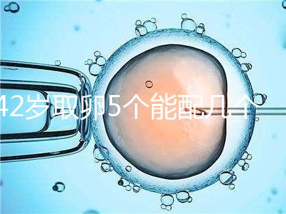 42歲取卵5個能配幾個胚胎難說，只有2個許是技術差導致
