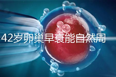 42歲卵巢早衰能自然周期取卵做試管嬰兒？
