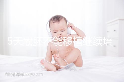 5天囊胚不能移植繼續(xù)培養(yǎng)？美國試管專家為您解析！