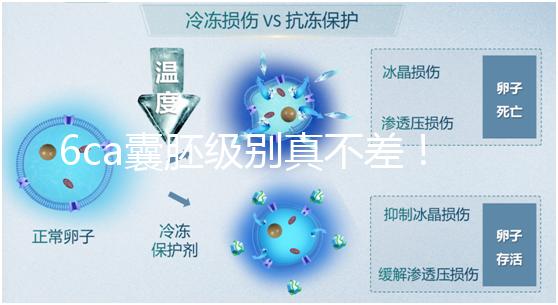 6ca囊胚級別真不差！嘗試移植才有機會,有信心才能“好孕”