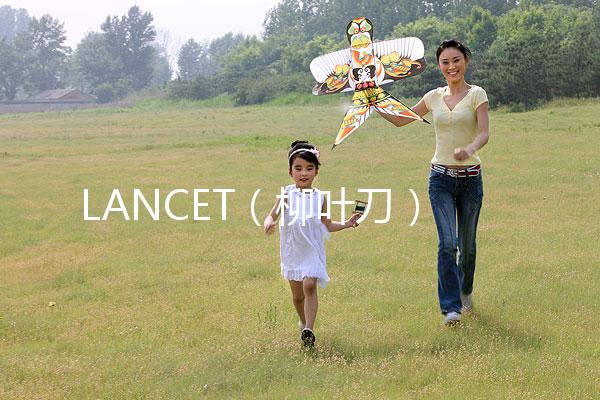 LANCET(柳葉刀)發(fā)表中國學(xué)者最新研究成果:“第二代試管嬰兒”技術(shù)并不能顯著提高子代活產(chǎn)率醫(yī)藥新聞