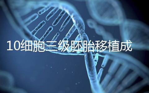 10細胞三級胚胎移植成功率多少看情況，身體好最快6天著床
