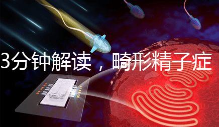 3分鐘解讀,畸形精子癥是什么病異常精子跟它的區(qū)別
