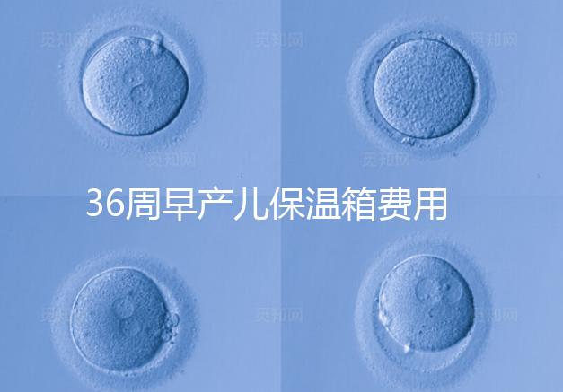 36周早產(chǎn)兒保溫箱費(fèi)用整理，12天到4斤花不了多少錢