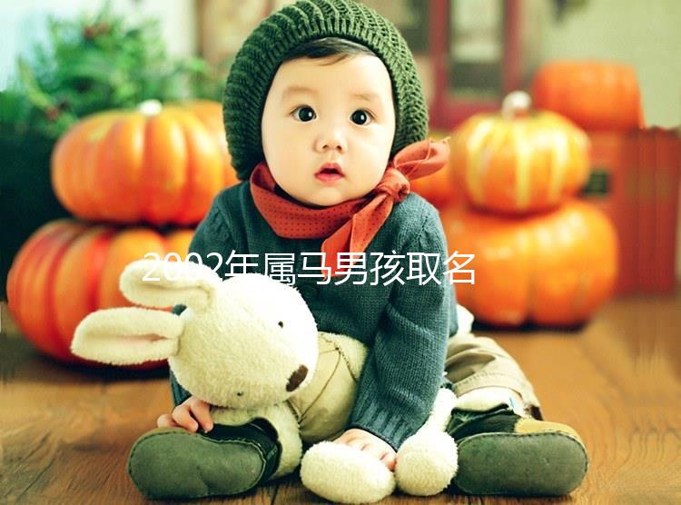 2002年屬馬男孩取名,經(jīng)典又大氣
