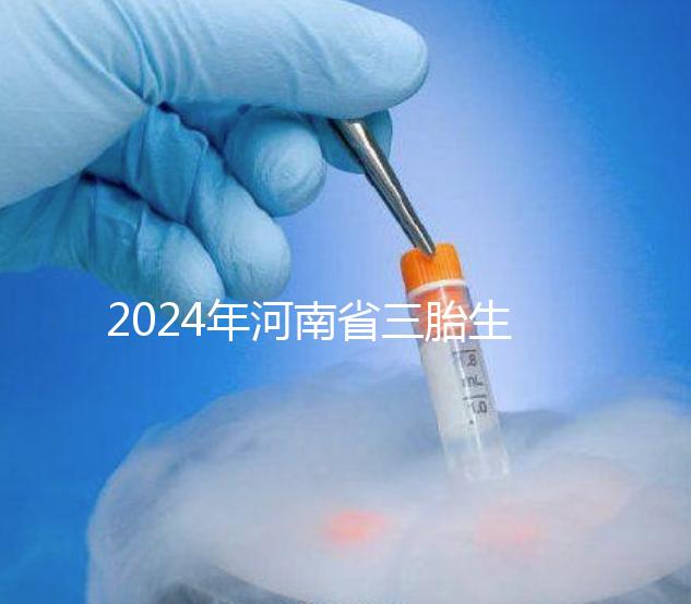2024年河南省三胎生育津貼發(fā)生變化！南陽和信陽最高獎(jiǎng)勵(lì)20萬！