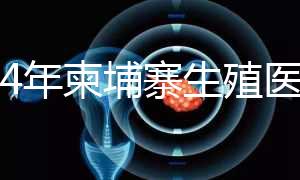 2024年柬埔寨生殖醫院排名，試管嬰兒都在這里