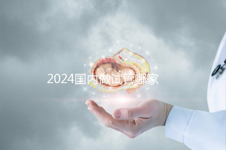 2024國內做試管哪家醫院成功率最高？附排行榜前十名醫院推薦