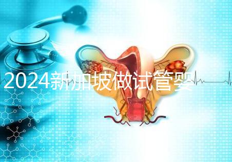 2024新加坡做試管嬰兒醫(yī)院排名曝光，最好的私立機(jī)構(gòu)是...