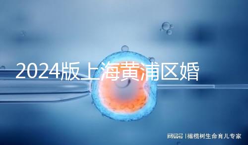 2024版上海黃浦區婚檢預約指南，包括詳細的流程和費用