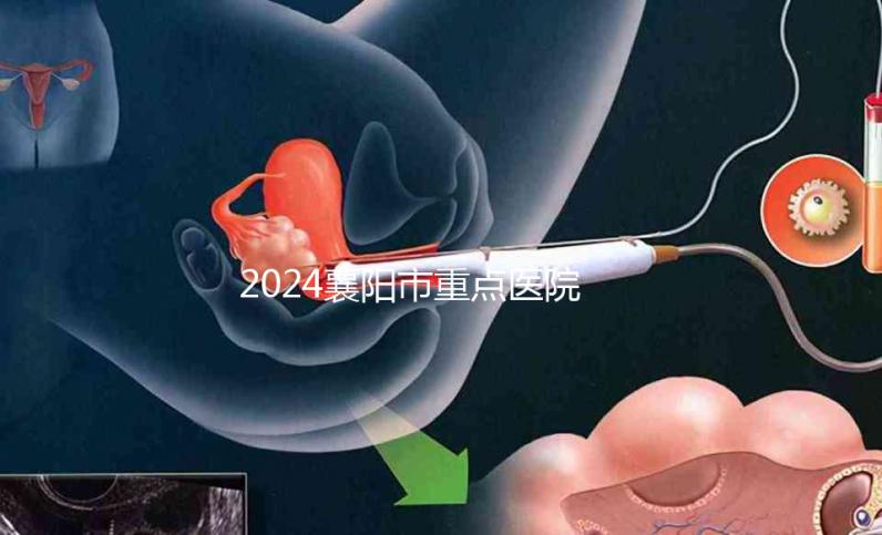 2024襄陽市重點醫院試管嬰兒費用明細，各項收費標準已列出