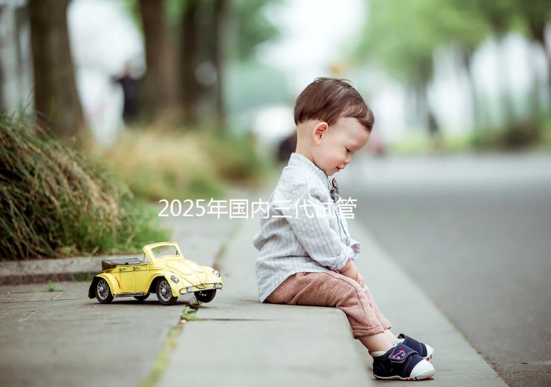 2025年國內三代試管嬰兒花費大公開，價格明細表專業出爐！