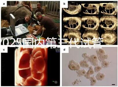 2025國(guó)內(nèi)第三代試管嬰兒技術(shù)醫(yī)院成功率排名榜,top5名單發(fā)布