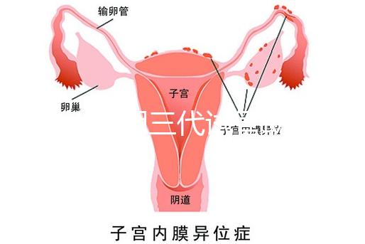 2025昆明三代試管助孕機(jī)構(gòu)收費(fèi)明細(xì),價(jià)格8萬至15萬不等