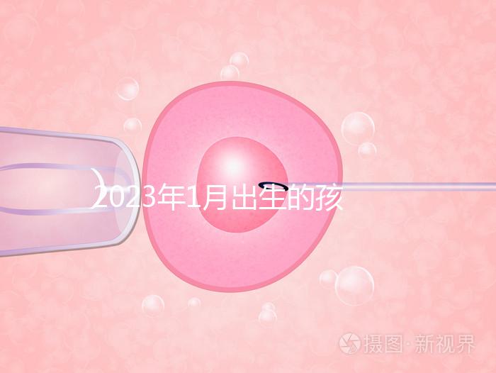 2023年1月出生的孩子取名宜忌要早知，星座、屬相均有講究